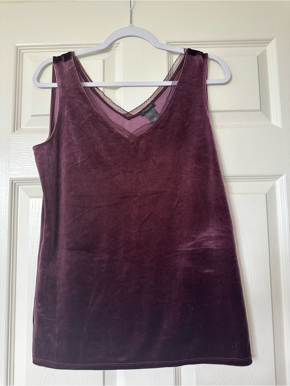 Ann Taylor Plum Velvet Tank Velour Mesh Trim